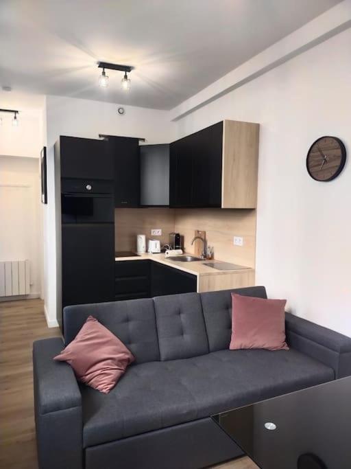 Apartment 2 Piece Avec Terrasse Ensoleille *